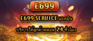 e699 service